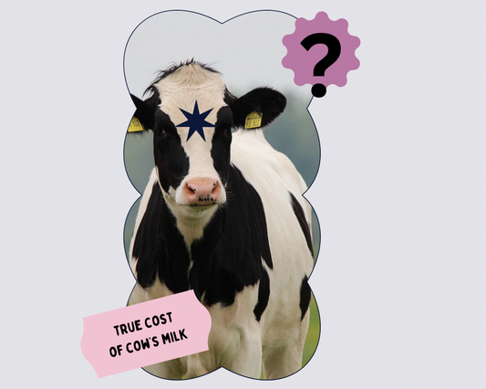 A picture collage of a dairy cow with text about true cost of dairy and milk