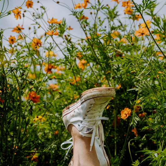 Laying on the grass among flowers with the legs up 